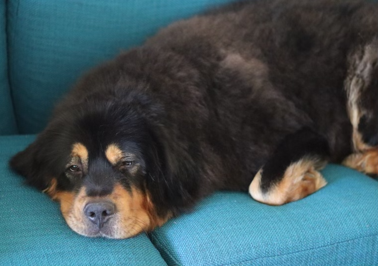 Odin